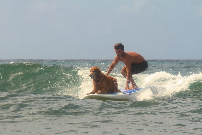 Semi-Private Surf Lesson - Contact and Pricing Information