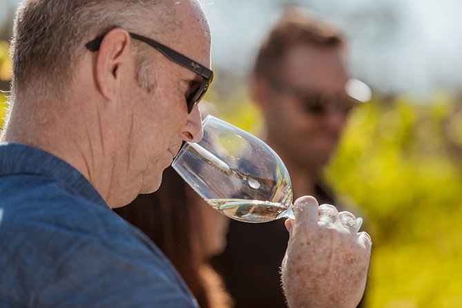 Semi-Private Tour: Swan Valley Premium Wine Lovers Experience - Expert Tour Guide