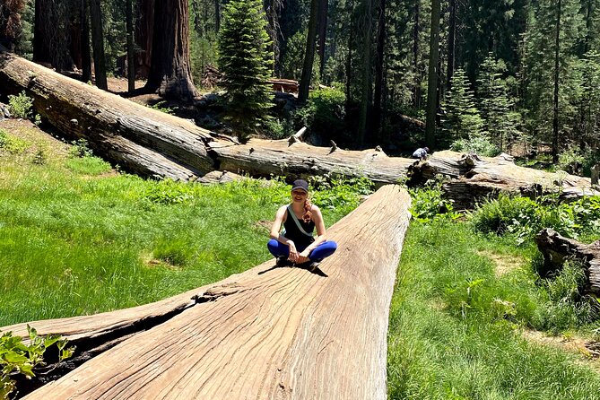 Semi Private Tour to Sequoia National Park With Lunch - Cancellation Policy