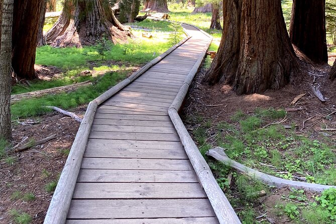 Semi Private Tour to Sequoia National Park With Lunch - Traveler Photos