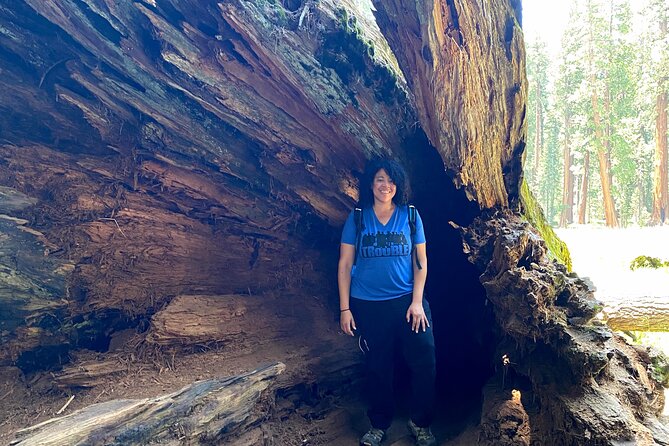 Semi Private Tour to Sequoia National Park With Lunch - Reviews