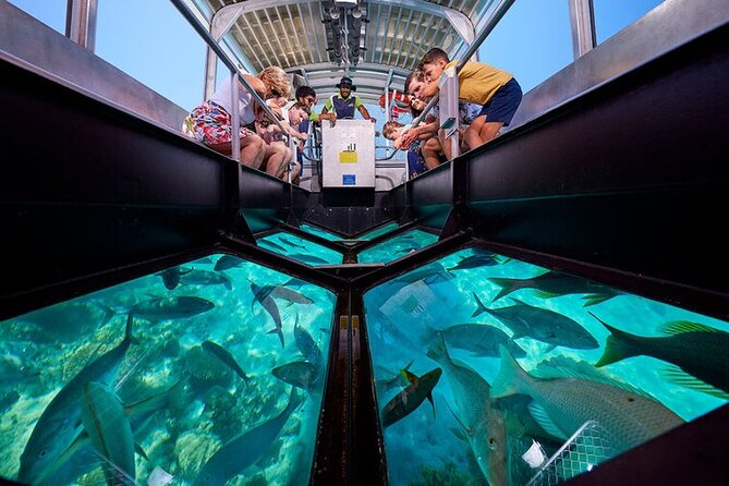 Semi Submarine Hurghada - Pricing and Group Options