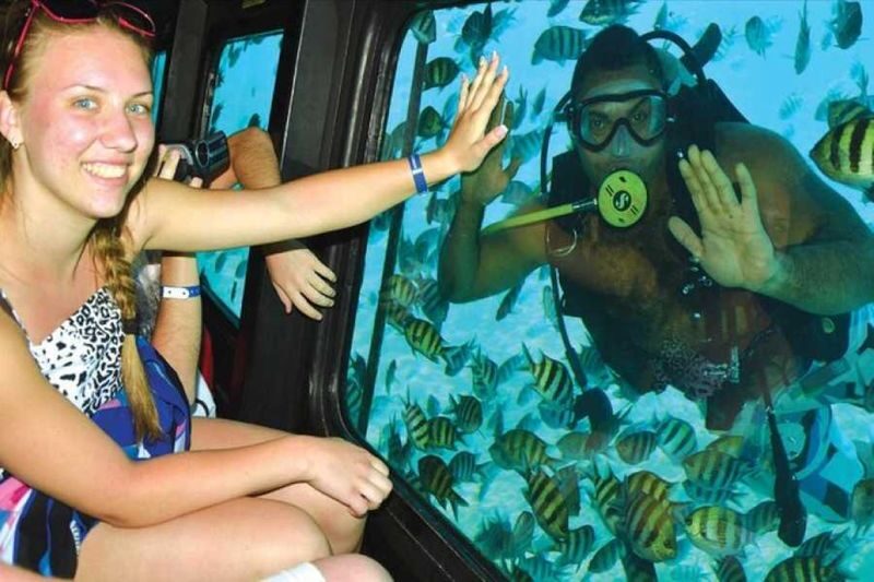 Semi-Submarine Snorkeling Sea Trip With Transfer - Hurghada - What happens during the three-hour outing
