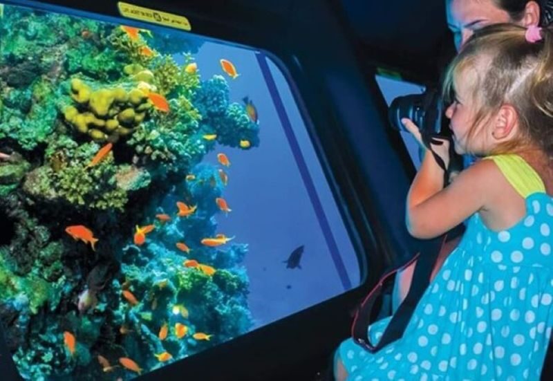 Semi-Submarine Snorkeling Sea Trip With Transfer - Hurghada - What the price includes, and what it does not