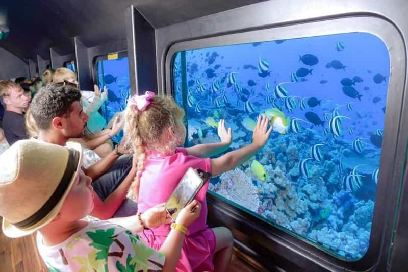 Semi-Submarine Snorkeling Sea Trip With Transfer - Hurghada - Choosing a departure time and handling pickup