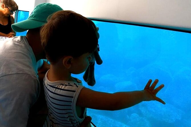 Semi-Submarine: Visit to the Seabed of Porto Bay - Inclusions and Meeting Details