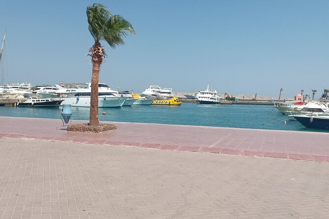 Semi-Submarine With Snorkeling in Red Sea - Price and Payment Options