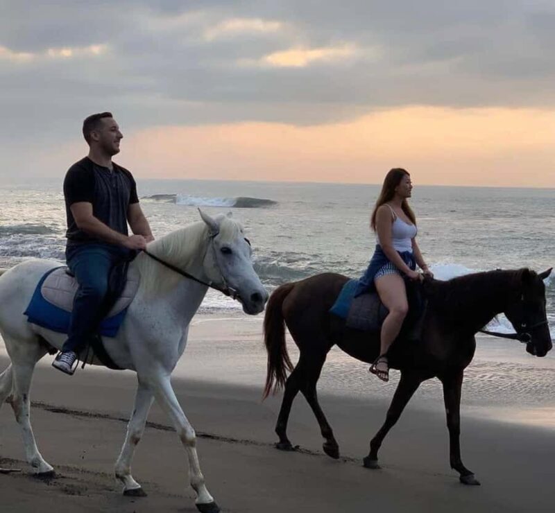 Seminyak: Bali Horse riding Adventure Seminyak Beach - Good To Know