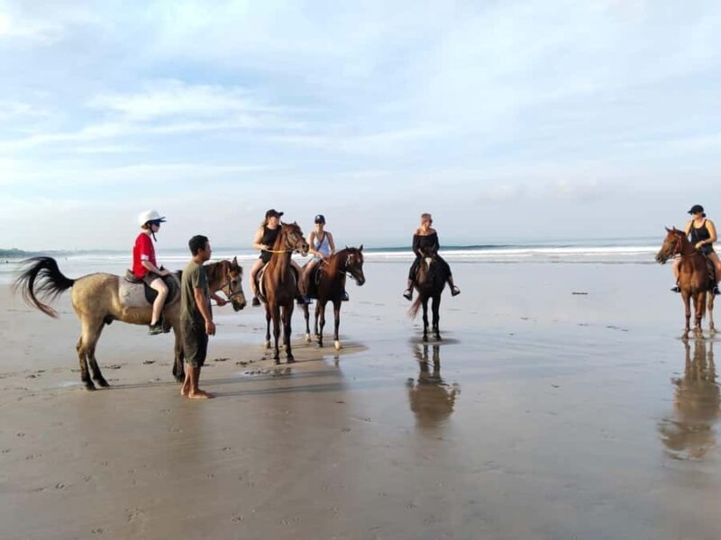 Seminyak Beach Horse Riding Experience - What to Expect from the Seminyak Beach Horse Riding Tour