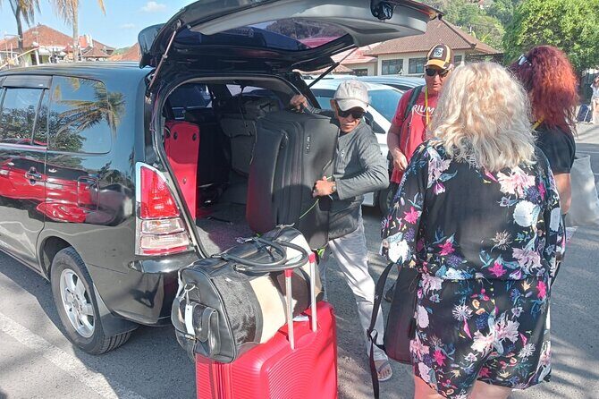 Seminyak To Ubud Private Transfer - Who Is This Transfer Best For?