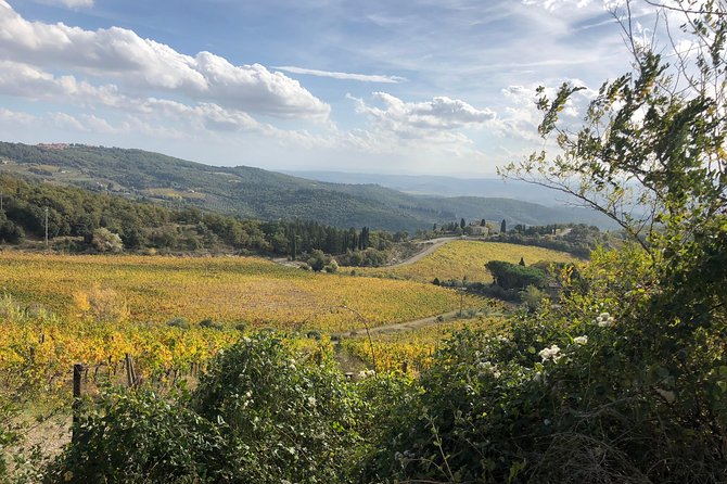 Semiprivate Tour: Siena, Wine Tour, San Gimignano - Top-rated Winery Visit and Cellar Tour