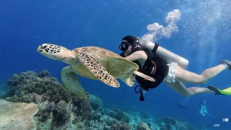 Semporna 3-Islands Day Tour: Snorkeling & Photography&Lunch - The Full Experience: What You Can Expect