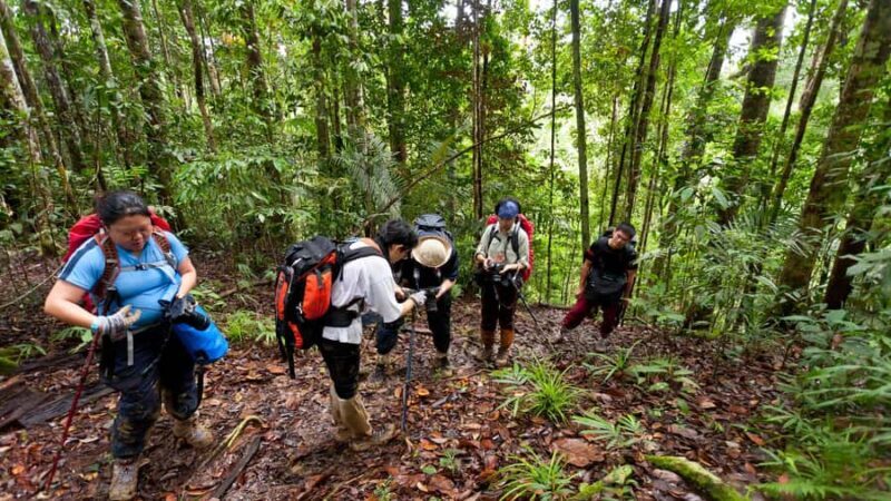 Semporna: 4-Day Maliau Basin Hiking Expedition - FAQ