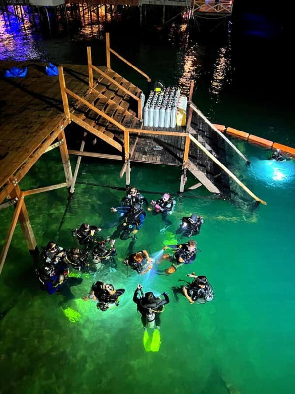 Semporna: Dive Buwan Reef at Night with Dinner & Transfer - Good To Know