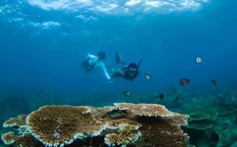 Semporna: Explore 3 Islands Tour Snorkel or Dive & Lunch - What to Expect at Each Stop  