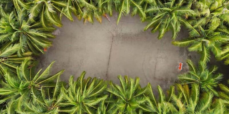 Semporna : Mabul & Kapalai Full-Day Snorkel Tour - Why This Tour Stands Out