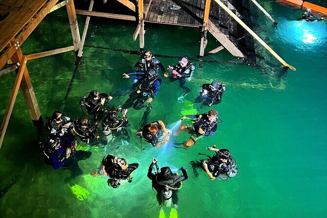 Semporna Night Dive Buwan Reef With Dinner by Boat - A Closer Look at What You Can Expect