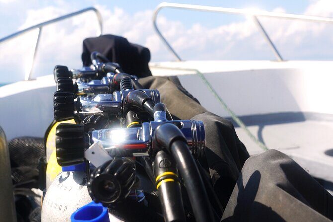 Semporna Night Dive Buwan Reef With Dinner by Boat - Who Should Consider This Tour?