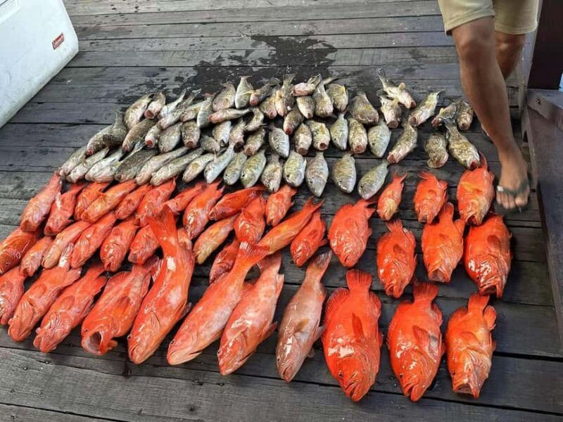 Semporna, Sabah : Fishing Day Trip with Equipment - Authentic Experience and Hidden Gems
