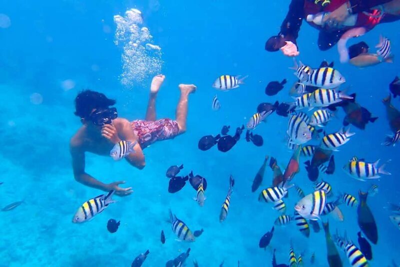 Semporna: Underwater Seawalking with Photography & Transfer - Good To Know