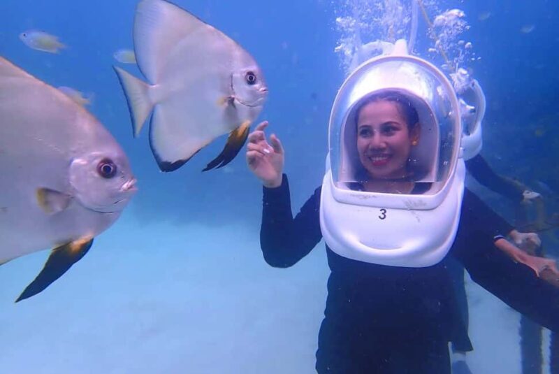 Semporna: Underwater Seawalking with Photography & Transfer - What to Expect from the Semporna Seawalking Tour