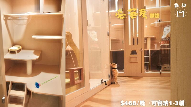 Sen Rich Cat Hotel - Cat Hotel Services | Prince Edward - What a typical boarding stay looks like