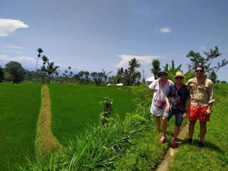 Senaru One Day Tours Traditional House And Green Rice Fields - Good To Know