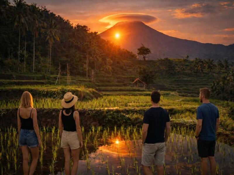 Senaru One Day Tours Traditional House And Green Rice Fields - The Sum Up