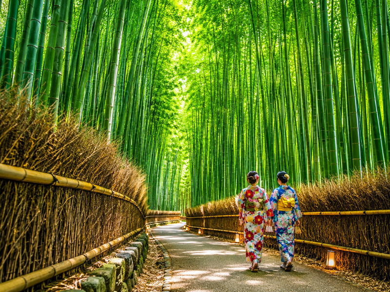 Senbon Torii & 祇園花見小路通 One-day Night & Late Night Food Tour - Sannenzaka and Yasaka Shrine