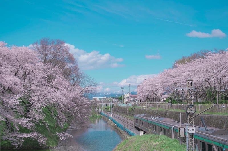 Sendai | Cherry Blossom Season Limited Private Chartered Day Tour | Customizable Itinerary - Picking the right vehicle for people and bags