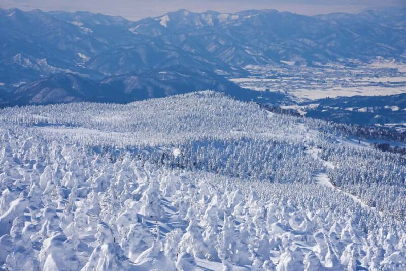 Sendai: Ginzan Onsen, Zao Ropeway Snow Monsters Tour & Lunch - Good To Know