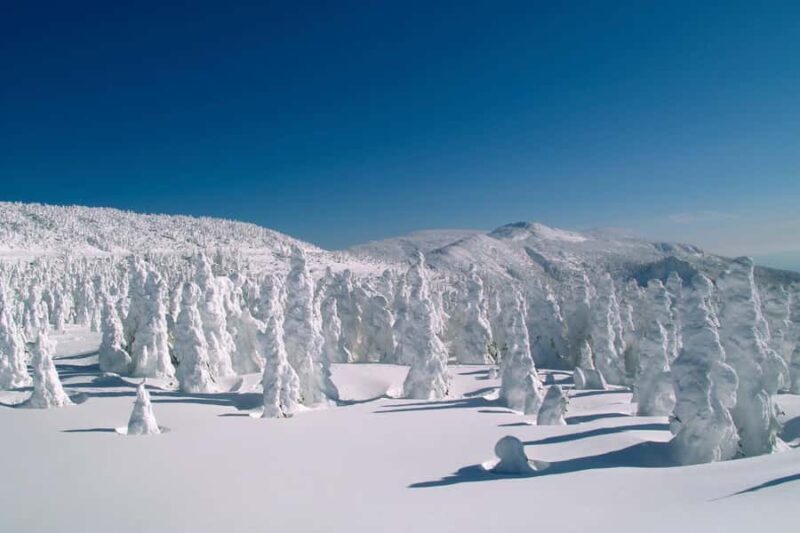 Sendai: Ginzan Onsen, Zao Ropeway Snow Monsters Tour & Lunch - FAQ