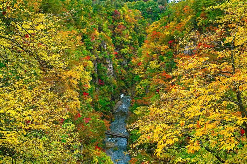 Sendai Naruko Gorge & Ginzan Onsen Autumn Leaves Tour - What to know before you go