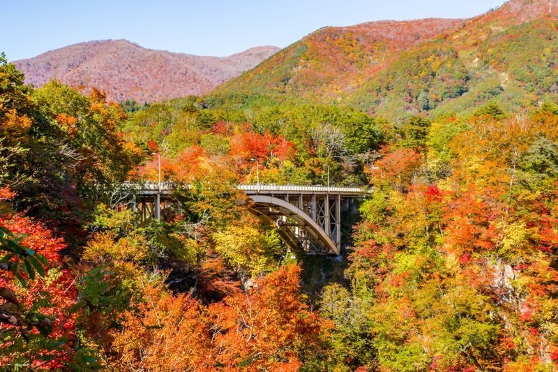 Sendai Naruko Gorge & Ginzan Onsen Autumn Leaves Tour - Two very different autumn stops