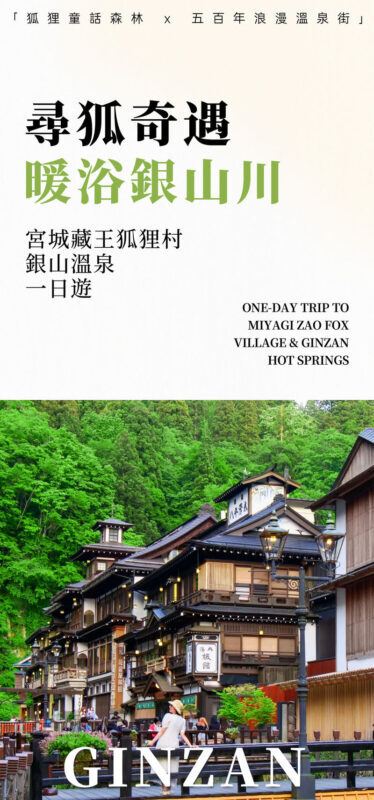 Sendai Zao Fox Village & Ginzan Onsen Full-Day Tour - At Zao Fox Village: close-up fox watching