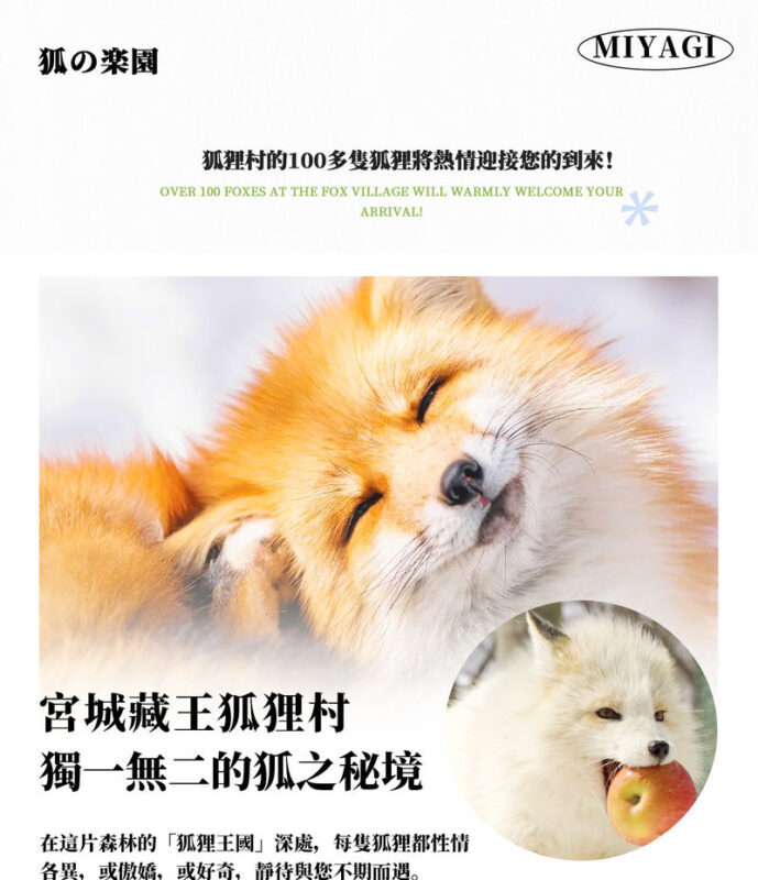Sendai Zao Fox Village & Ginzan Onsen Full-Day Tour - Ginzan Onsen: scenery, snacks and seasonal luck