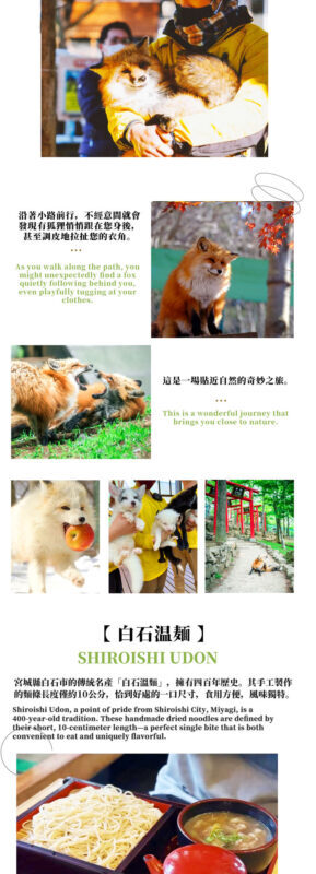 Sendai Zao Fox Village & Ginzan Onsen Full-Day Tour - What the price does, and does not, buy