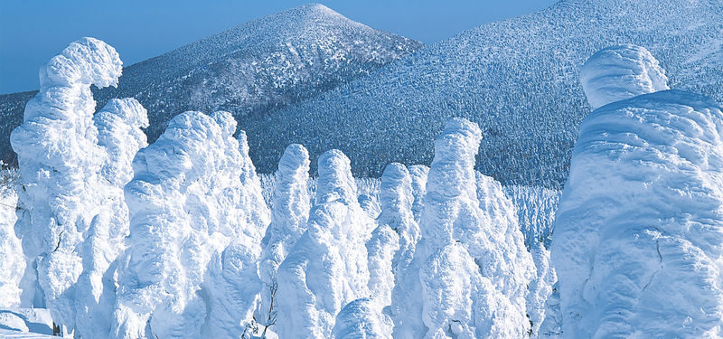 Sendai Zao Fox Village & Snow Monsters Full-Day Guided Tour - Key points to know