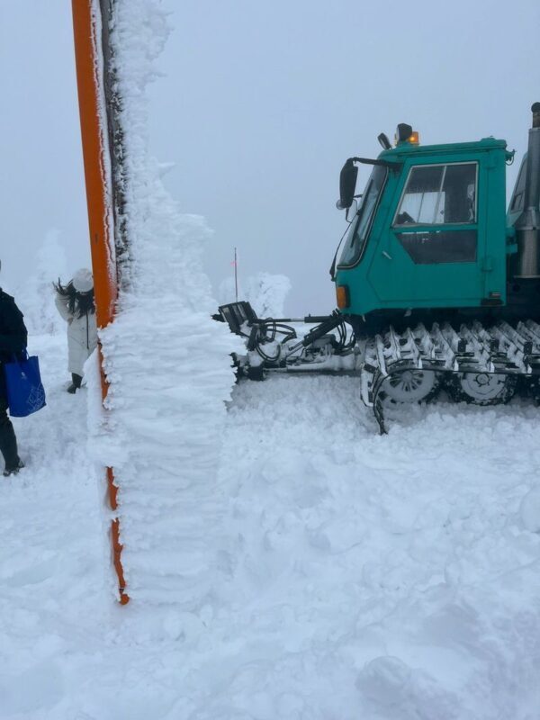 Sendai Zao Fox Village & Snow Monsters Full-Day Guided Tour - Lunch between mountain and village