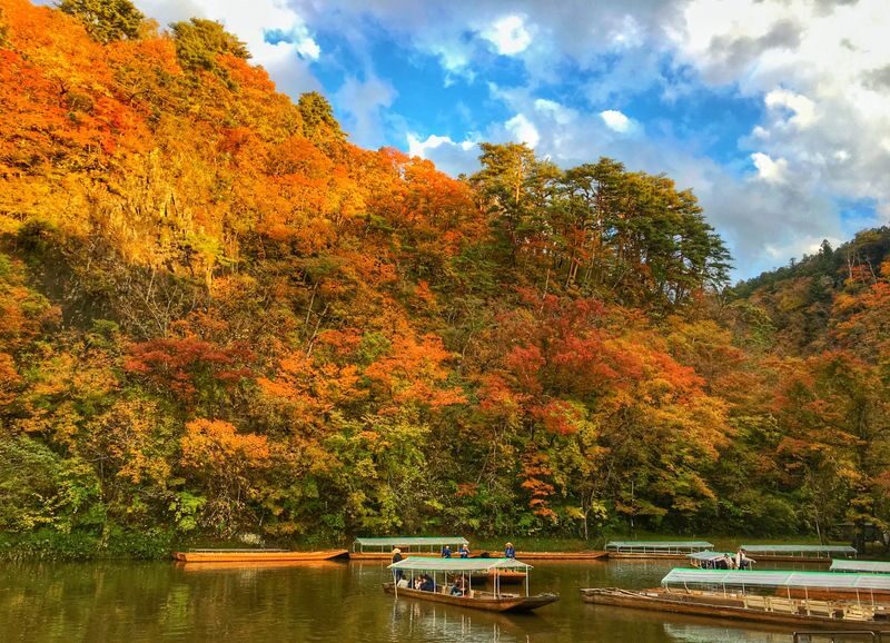 Sendai | Zao Okama Crater, Fox Village, and Ginzan Onsen Private Chartered Day Tour | Customizable Itinerary - The driver makes the day easier, not a guided tour