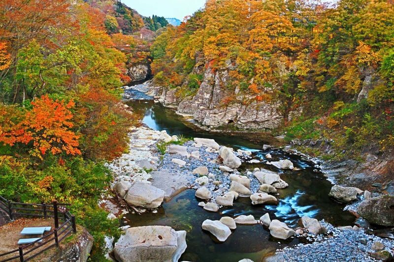 Sendai | Zao Okama Crater, Fox Village, and Ginzan Onsen Private Chartered Day Tour | Customizable Itinerary - Who should book this Sendai charter?