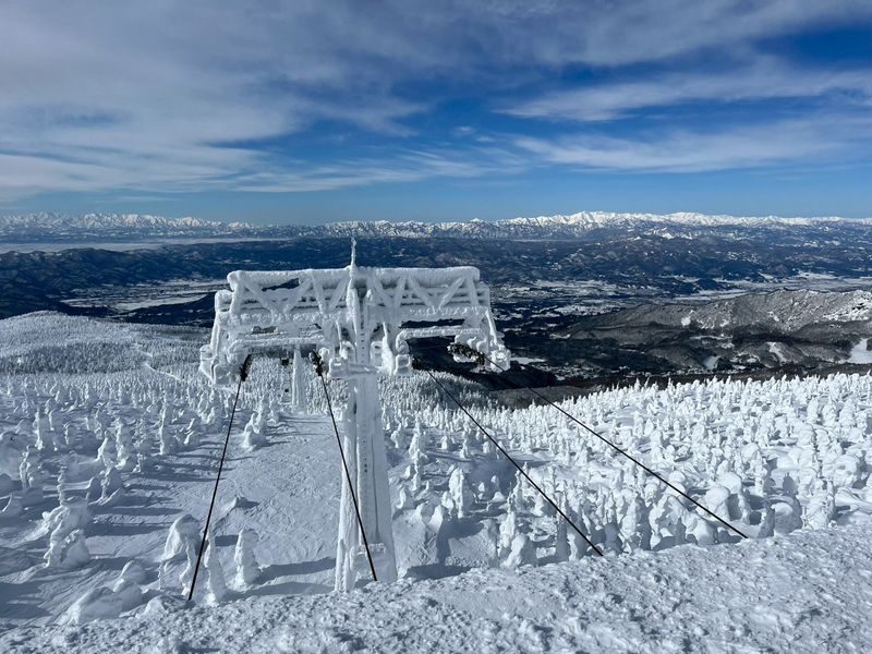 Sendai Zao Snow Monsters & Ginzan Onsen Day Tour - Two winter sights, one long day