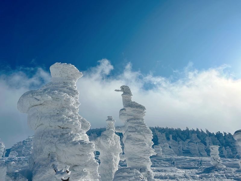 Sendai Zao Snow Monsters & Ginzan Onsen Day Tour - Riding the Zao Ropeway to the juhyo