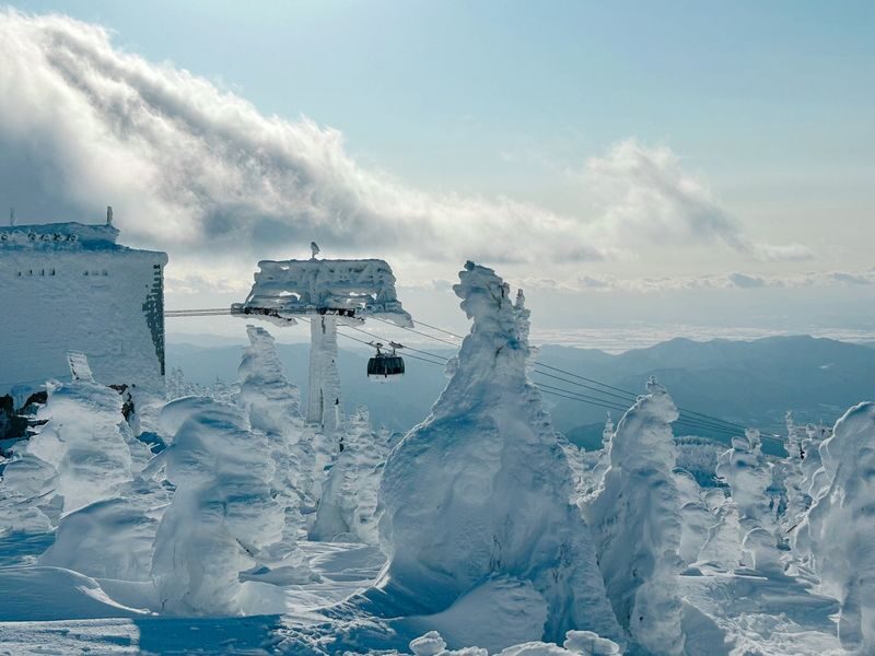 Sendai Zao Snow Monsters & Ginzan Onsen Day Tour - Why the schedule may run in either direction
