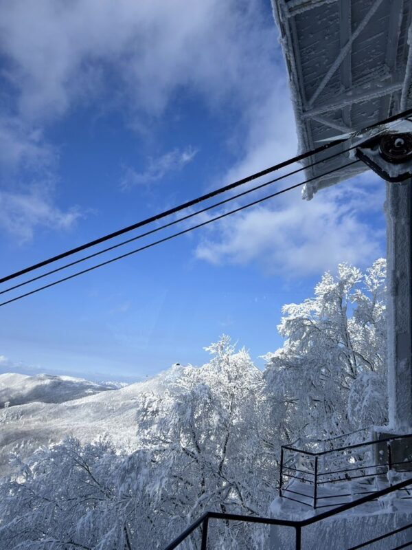 Sendai Zao Snow Monsters & Ginzan Onsen Day Tour - What the starting price does and does not cover