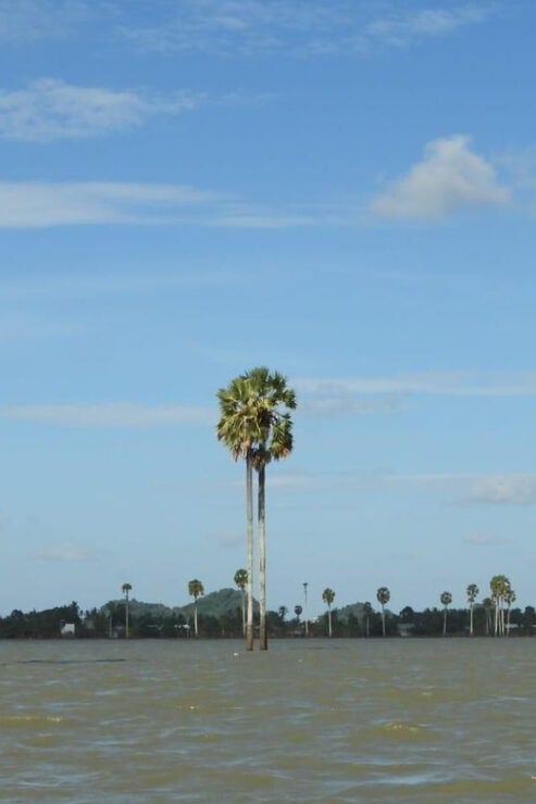 Sengkang: Tempe Lake Floating House Boat Tour With Transfer - Cancellation and Flexibility