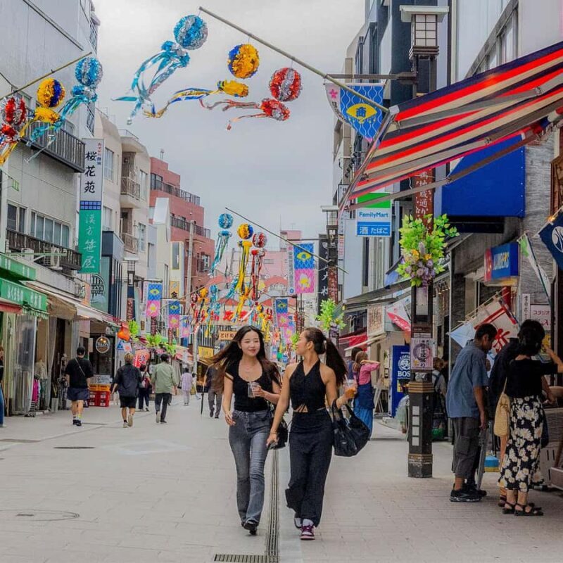 Sengoku Time Travel Walk: Temples and Traditions - Discovering Tokyo’s Quiet Charm with the Sengoku Time Travel Walk: Temples and Traditions