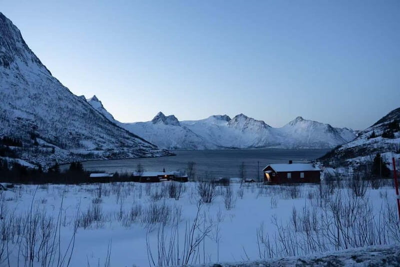 Senja: Full-Day Guided Tour with Husøy and Ersfjord - Practical Details and What to Expect