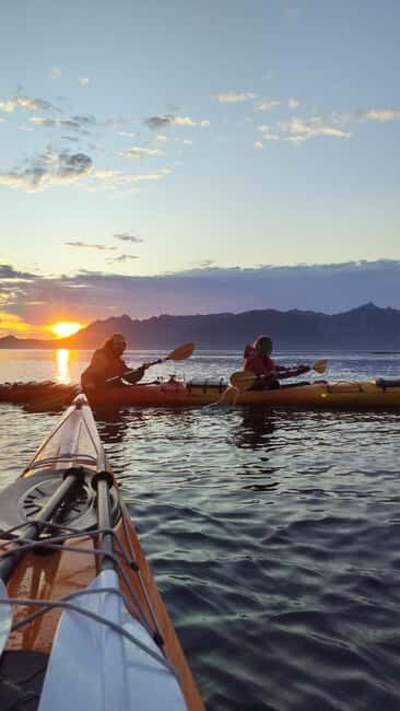 Senja: Guidet Evening Kayak Cruise - Who Should Consider This Experience?
