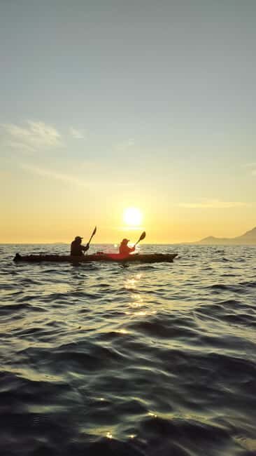 Senja: Guidet Evening Kayak Cruise - Good To Know